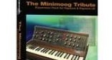 Minimoog Tribute 
